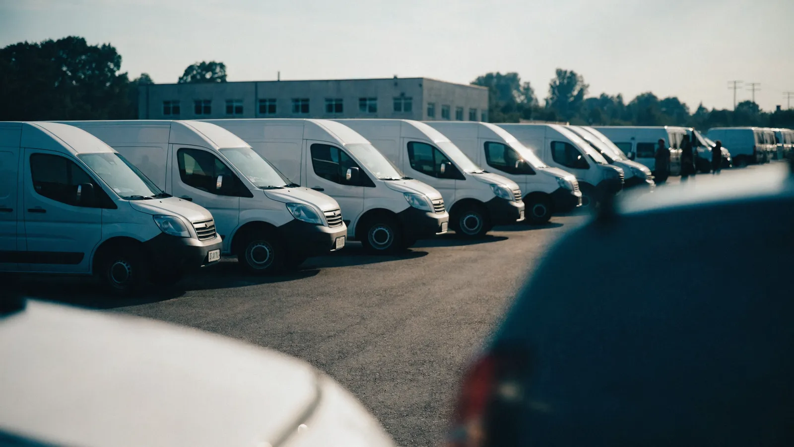 Photo of a long row of identical white pest-control service vans lined up at a multi-branch fleet depot